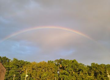 alabama/foley/landmark/portabella-s