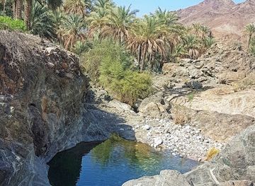 oman/rustaq/landmark/kadh-rustaq-mhafezh-south-alebatnh-sultanate-of-oman