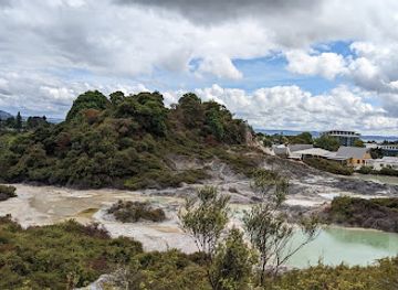 new-zealand/bay-of-plenty/landmark/te-puia-rotorua-nz