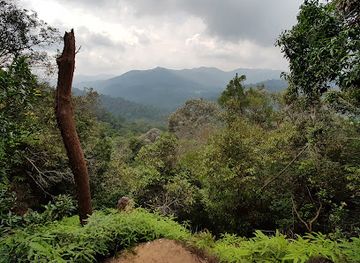 malaysia/northern-region/landmark/canopy-walkway-kuala-tahan-national-park