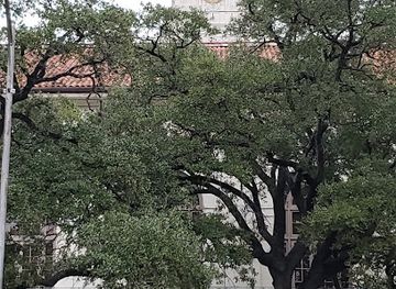 texas/central-texas/landmark/world-s-largest-longhorn