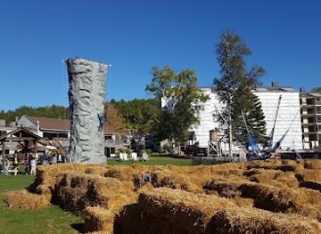 canada/golden-horseshoe/landmark/horseshoe-adventure-park