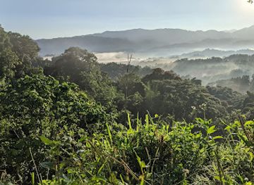 jamaica/santa-cruz-mountains/landmark/mount-charles-jamaica