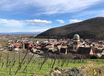 france/alsace-wine-route/landmark/l-alsaciette