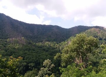 north-carolina/great-smoky-mountains/landmark/mingus-mill