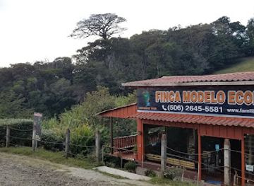 costa-rica/monteverde/landmark/treetop-climbing-monteverde