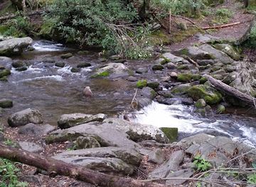 north-carolina/great-smoky-mountains/landmark/alex-cole-cabin