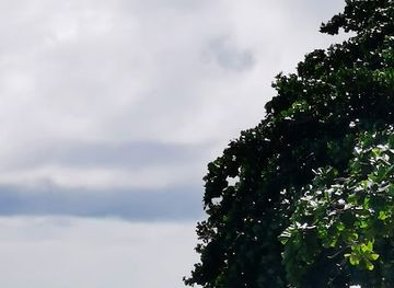 philippines/camiguin/landmark/giant-clams-sanctuary-white-beach