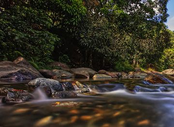 puerto-rico/el-yunque-national-forest/landmark/puente-roto