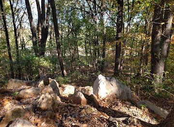 virginia/arlington/landmark/brandymore-castle-historical-marker