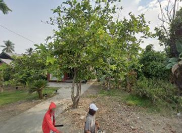 indonesia/south-kalimantan/landmark/rumah-ayank-adi