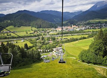 austria/schladming-dachstein/landmark/der-wilde-berg-mautern-wild-park