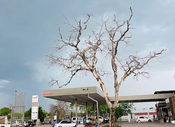 namibia/katima-mulilo/landmark/totalenergies-kamunu-service-station