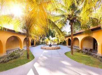 brazil/pantanal/landmark/caiman-pantanal