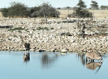 namibia/zambezi/landmark/etosha-national-park