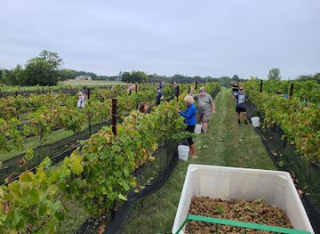 kansas/lawrence/landmark/crescent-moon-winery-downtown-lawrence-tasting-room
