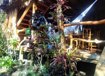 costa-rica/caribbean-coast/landmark/topos-tree-house