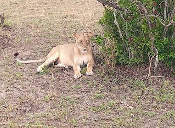 kenya/maasai-mara-national-reserve/landmark/masai-mara