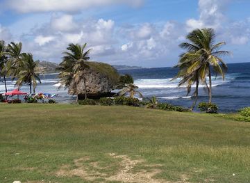 barbados/mullins-beach/landmark/andromeda-botanic-gardens