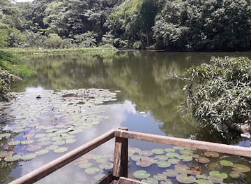trinidad-and-tobago/st-paul/landmark/pointe-a-pierre-wildfowl-trust