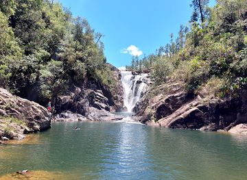 belize/caracol/landmark/mountain-pine-ridge-forest-reserve