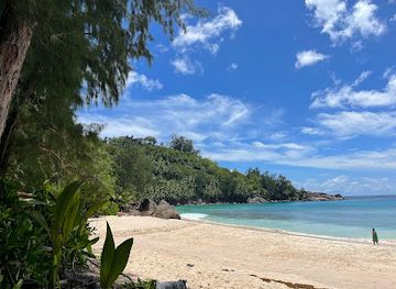 seychelles/cousin-island/landmark/bibi-take-away-cafe