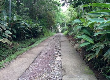 costa-rica/monteverde-cloud-forest/landmark/monteverde-butterfly-gardens