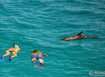 the-bahamas/bimini-islands/landmark/wildquest