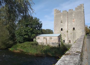 ireland/county-carlow/landmark/milford-mill