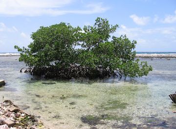 belize/southern-belize/landmark/tobacco-caye