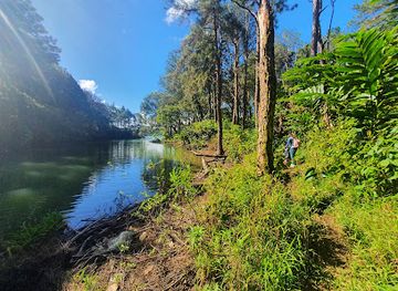 mauritius/ganga-talao/landmark/sophie-nature-walk