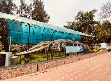 india/digha/landmark/skeleton-of-bryde-s-whale