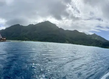 Raiatea Pearl