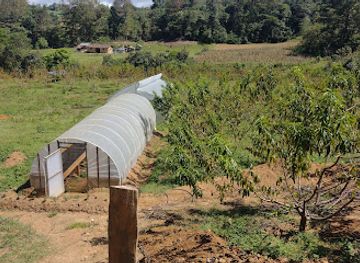 honduras/intibuca-region/landmark/parcela-demostrativa-siguatas-lencas