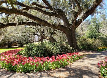 north-carolina/cape-fear-coast/landmark/airlie-gardens