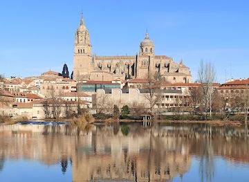 spain/salamanca/landmark/enrique-estevan-bridge