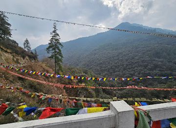 bhutan/chhukha-district/landmark/new-tanalung-bridge