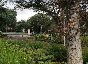 singapore/macritchie-reservoir/landmark/forest-walk