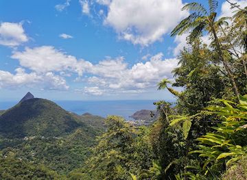 saint-lucia/soufriere/landmark/enbas-saut-waterfalls