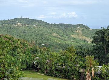 barbados/saint-joseph/landmark/naniki