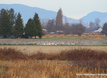 washington/the-skagit-valley/landmark/skagit-wildlife-area-wiley-slough
