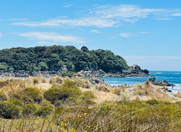new-zealand/bay-of-plenty/landmark/motuotau-rabbit-island