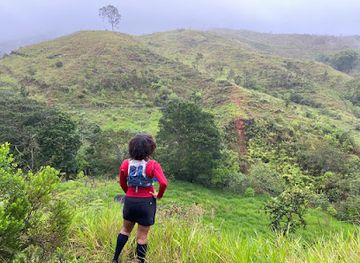 dominican-republic/cordillera-central/landmark/rio-yuboa
