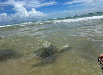 Turtle Beach - Hikkaduwa
