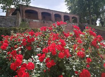 italy/lucca/landmark/piazzale-umberto-i