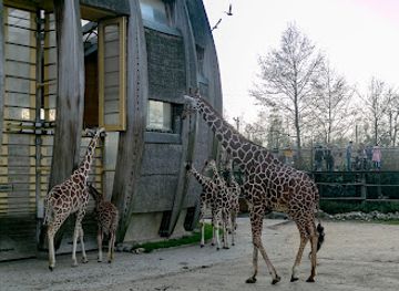 netherlands/rotterdam/noord/landmark/rivierahal-blijdorp-rotterdam-zoo