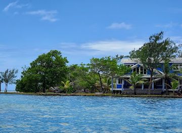 honduras/bay-islands/landmark/cleve-s-tours-and-adventures