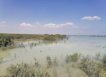 qatar/al-khor/landmark/al-thakhira-beach-park