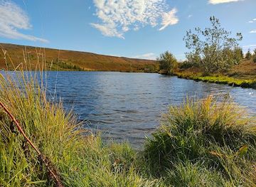 iceland/husavik-area/landmark/geothermal-goldfish-pond