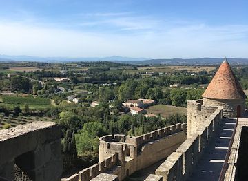 france/midi-pyrenees/landmark/chateau-et-remparts-de-la-cite-de-carcassonne